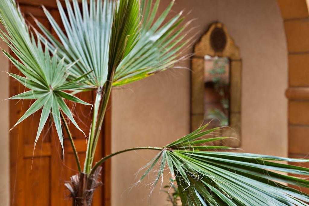Riad Chbanate Essaouira Eksteriør billede